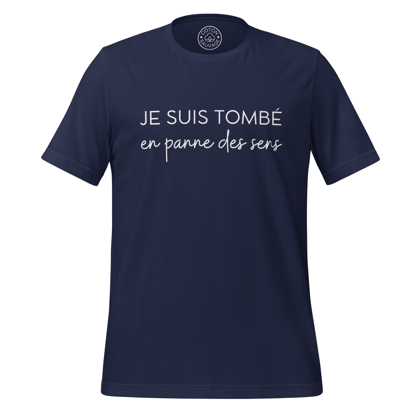 JE SUIS TOMBER EN PANNE DES SENS