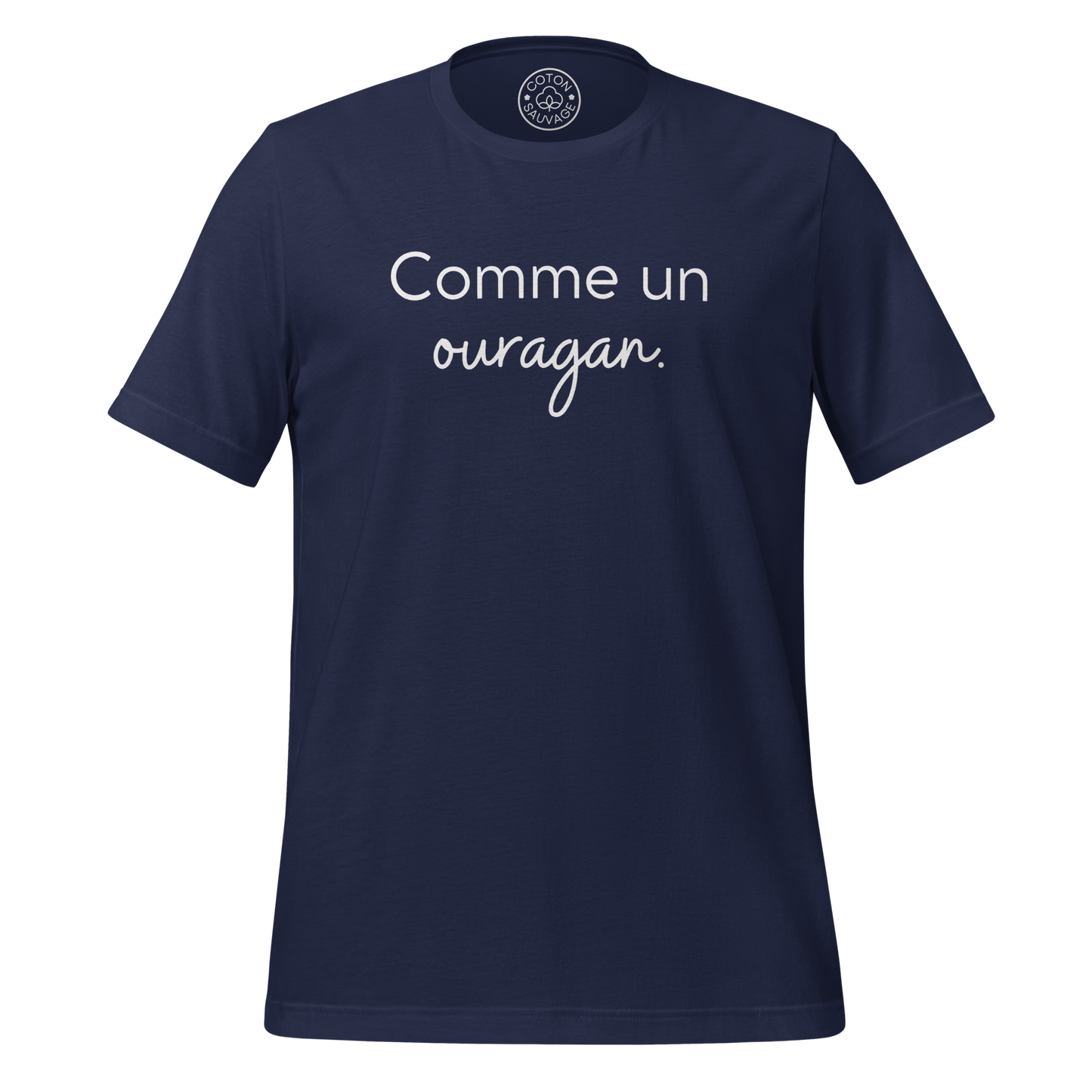 COMME UN OURAGAN