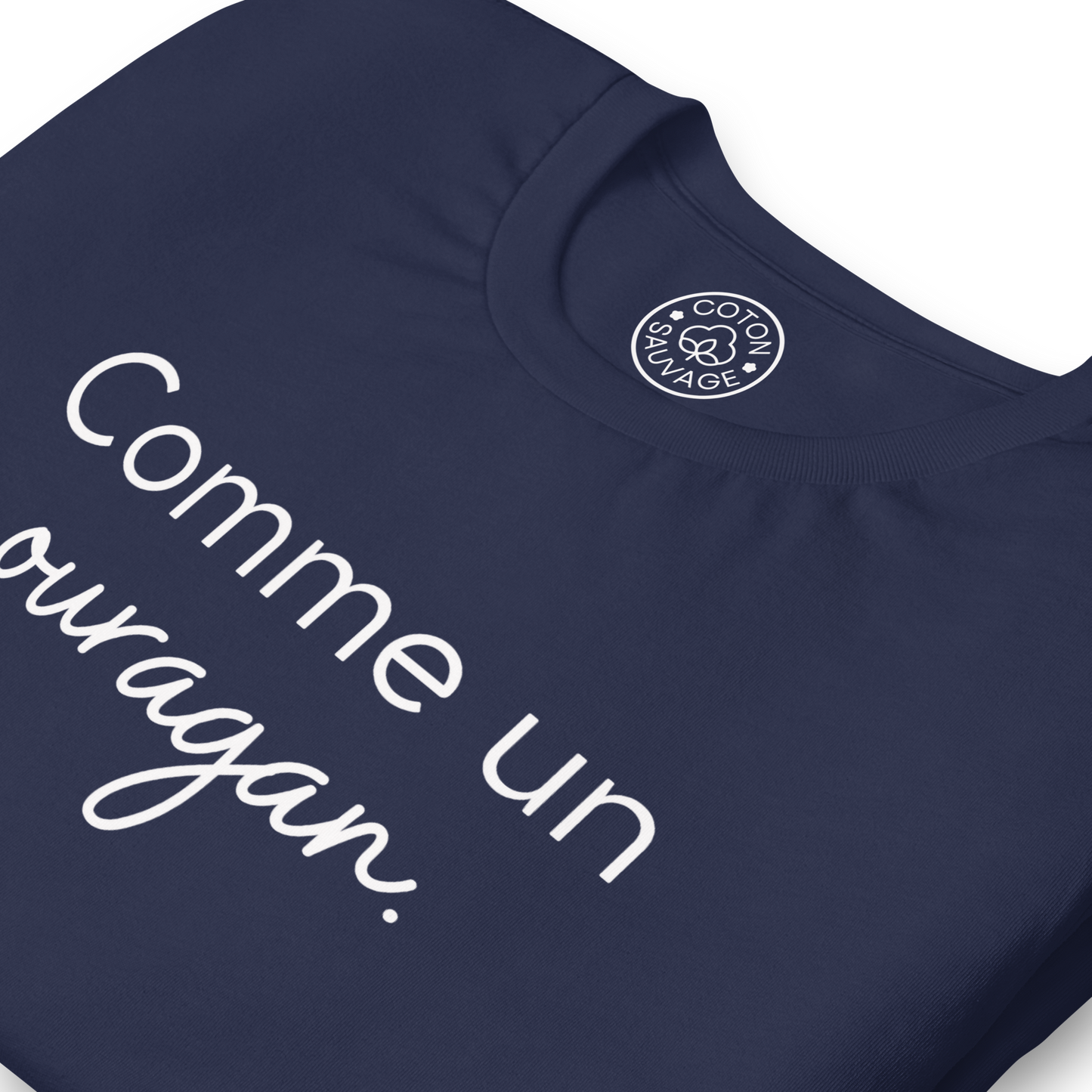 COMME UN OURAGAN