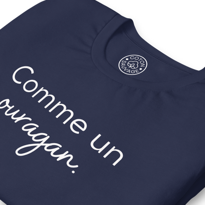 COMME UN OURAGAN