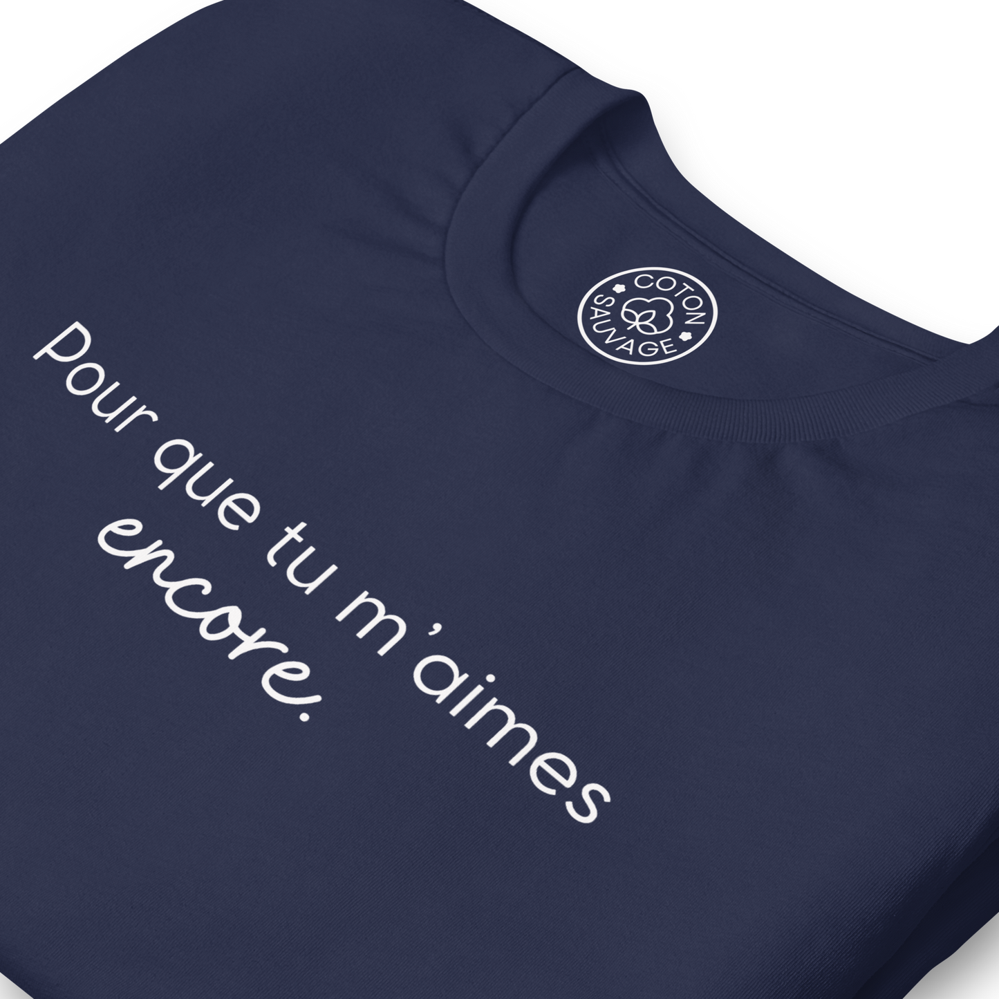 POUR QUE TU M'AIMES ENCORE
