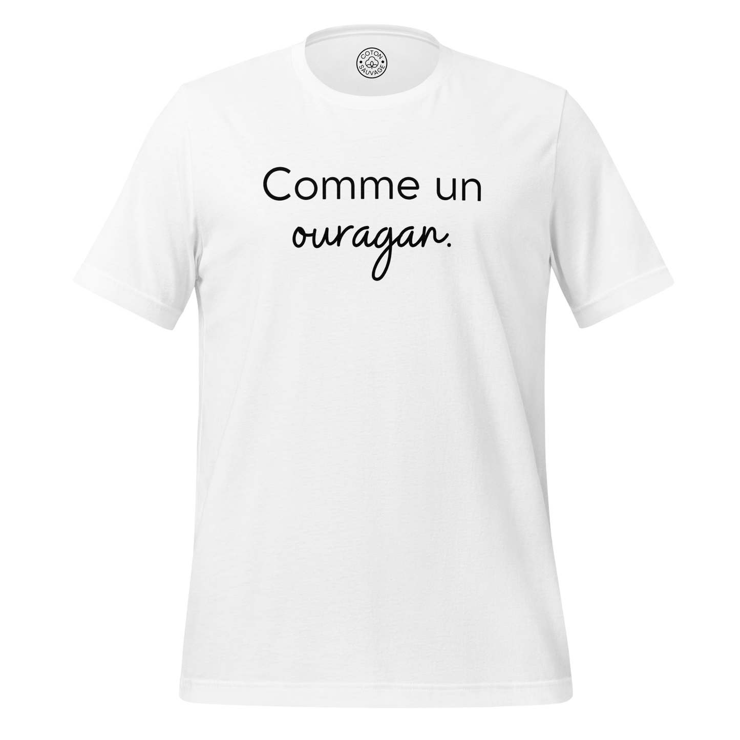 COMME UN OURAGAN