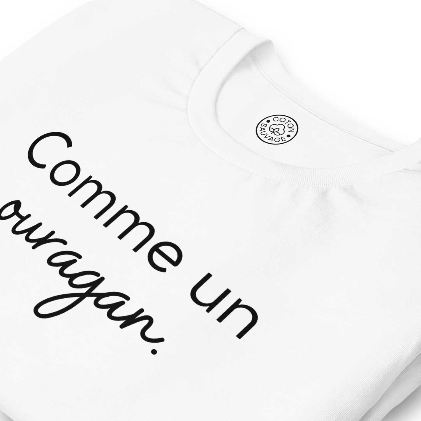 COMME UN OURAGAN