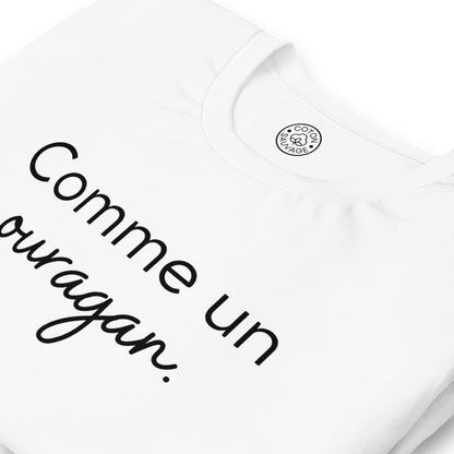 COMME UN OURAGAN